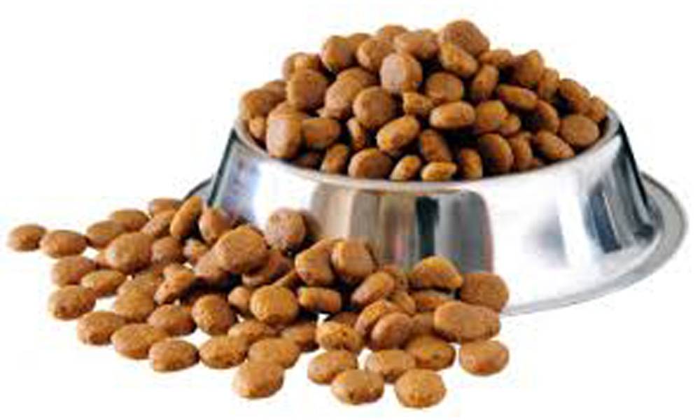 A silver pet bowl recommended by a veterinarian, filled with dry brown kibble, with some pieces scattered on a white background.