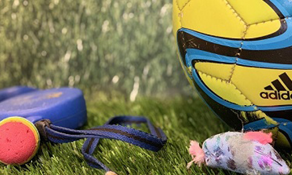 A close-up view of a worn yellow and blue adidas soccer ball on artificial grass, accompanied by a blue leash, a colorful dog toy, and a blue sandal, suggestively near a veterinarian's office.