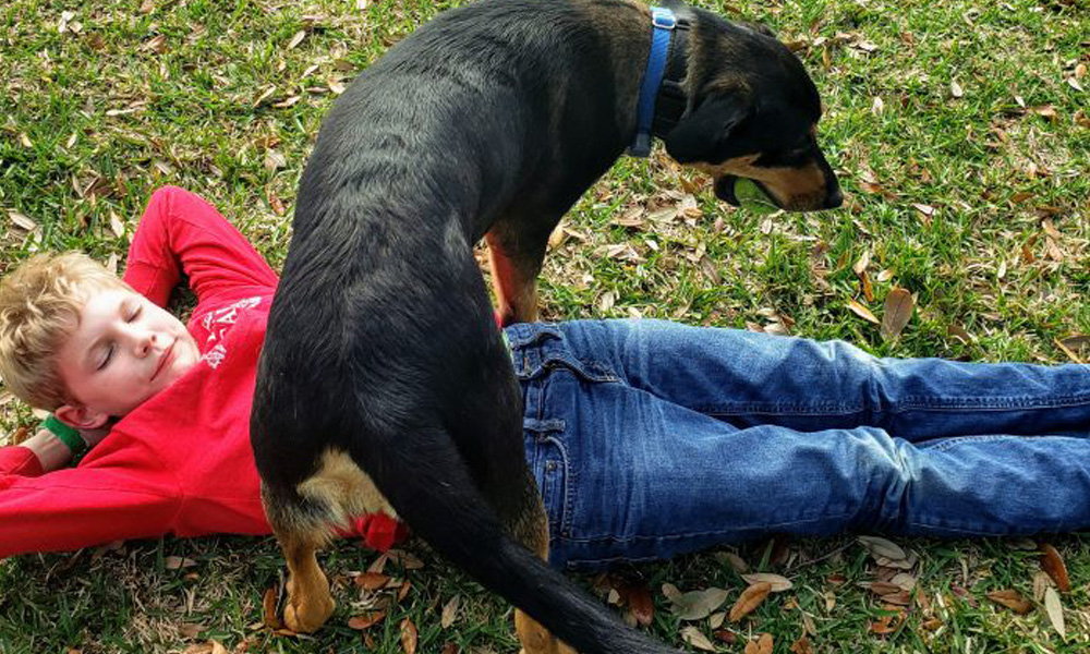 A young boy in a red shirt and jeans lies on the grass with his eyes closed, while a black and tan dog stands next to him, looking down curiously as if playing vet.