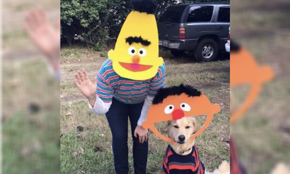 A veterinarian and a dog wearing comical cut-out masks of Bert and Ernie from Sesame Street stand in a field, with a vehicle in the background.