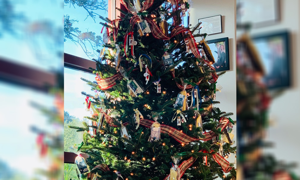 A richly decorated Christmas tree with ribbons, lit-up ornaments, and a wealth of gifts in a cozy veterinarian's office setting, flanked by blurred views of the outdoors and wall pictures.