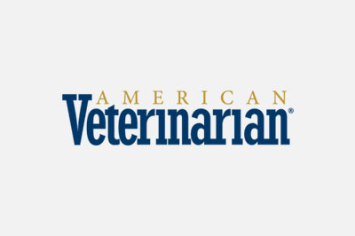 Logo of "American vet," featuring bold blue and gray text on a white background.