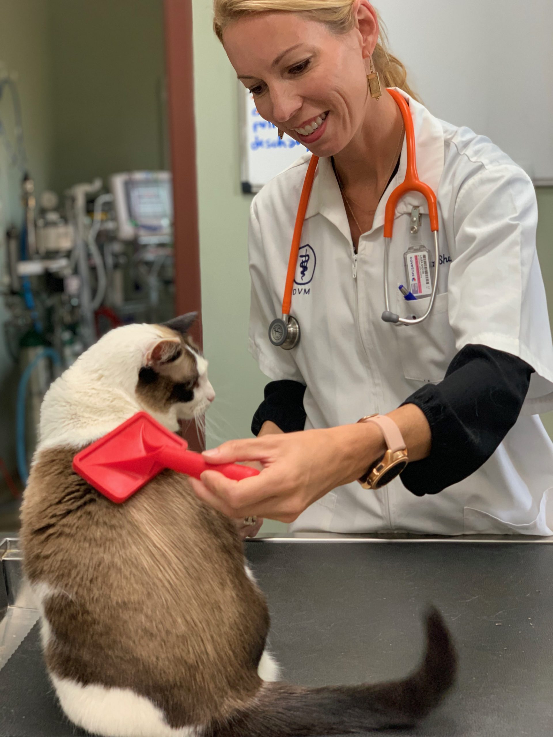 A smiling female vet in a white coat uses a stethoscope on a Siamese cat sitting on an exam table, which looks back at her.