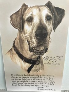 A detailed black and white sketch by a veterinarian of a Labrador retriever wearing a collar, with a heartfelt handwritten message and a signature dated February 3, 2000.