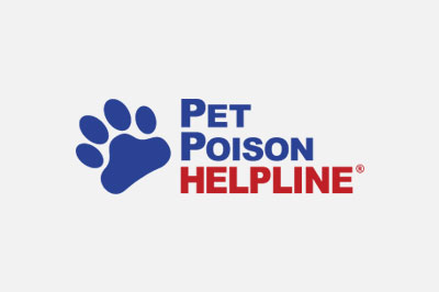 24 hour dog helpline