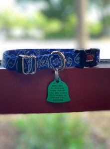 A blue dog collar with a paisley pattern and a metallic buckle hangs on a wooden rail, featuring a green, bone-shaped ID tag with engraved text from the veterinarian.