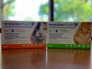 Two boxes of Revolution Plus cat medication on a wooden table, featuring close-up images of a grey cat and an orange cat on the packaging, as recommended by veterinarians.