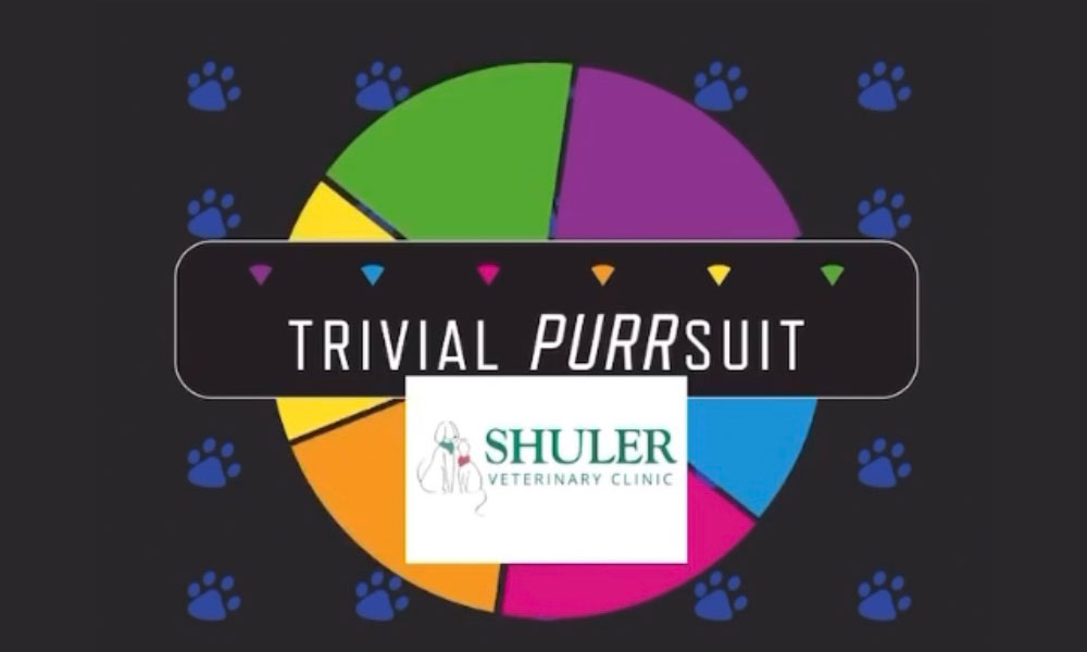 A colorful pie chart with six segments and a title "trivial purrsuit" over it, surrounded by blue paw prints. Below is the logo of Shuler Veterinary Clinic.