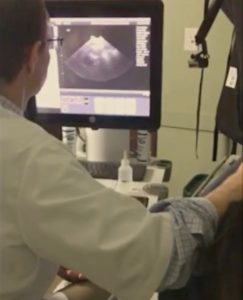 A veterinary professional performs an ultrasound, viewing the monitor which displays the scan result. The focus is on the veterinarian's back as they operate the ultrasound device.