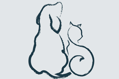 Illustration of a dog and a cat sitting side by side in a minimalist black brushstroke style on a light blue background, depicting them as patients at a veterinarian's office.