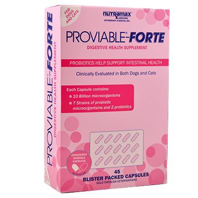 A pink box of nutramax proviable-forte, a digestive health supplement with probiotics and prebiotics, recommended by veterinarians, displaying product details and a visible blister pack of capsules.