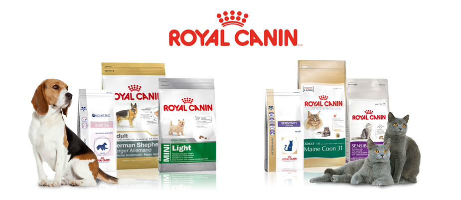 A promotional image for Royal Canin pet food, recommended by veterinarians, featuring a beagle and a gray cat sitting beside multiple bags of dog and cat food varieties.