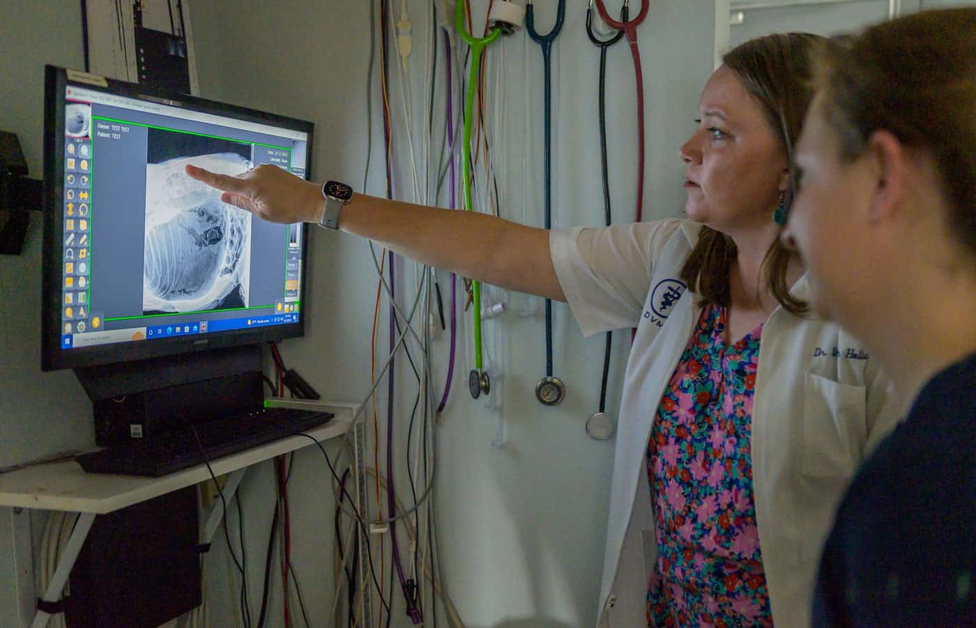 A vet points to a chest x-ray on a computer screen, explaining details to another individual in a clinic, surrounded by medical equipment.