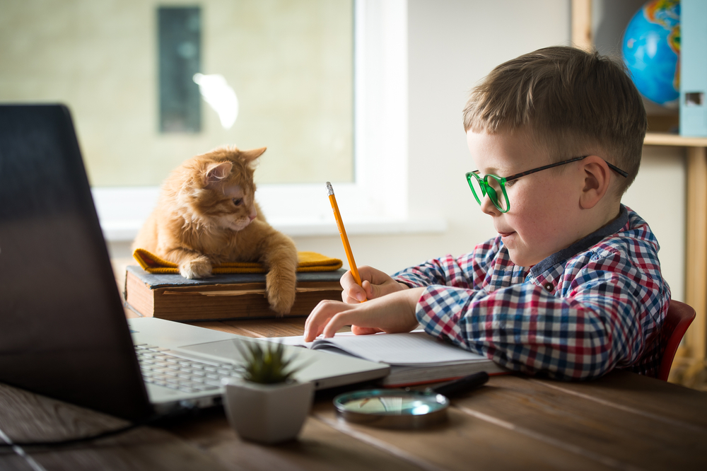 A young boy wearing glasses is focused on writing in a notebook at a desk, with a laptop and veterinary books beside him. An orange cat sits on the books, watching him work.