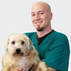 A smiling veterinarian with a shaved head and wearing green scrubs holds a fluffy, light-colored dog. They are both posed in front of a white background.