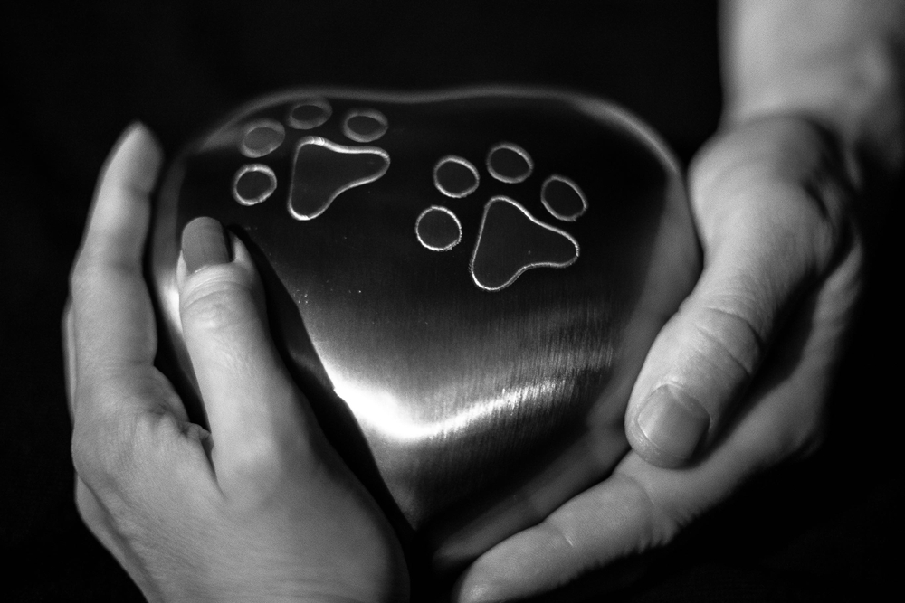 A pair of hands gently holding a heart-shaped object in a grayscale image. The heart object has two paw print engravings on its surface, suggesting a memorial or tribute to a beloved pet.