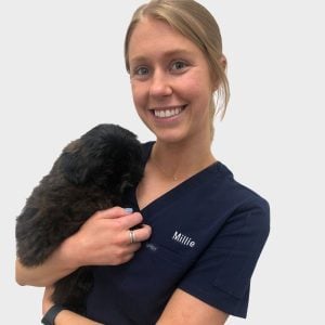 A person with blonde hair is smiling and holding a small black puppy. The person is wearing navy blue scrubs with the name "Millie" embroidered on them. The background is plain white.
