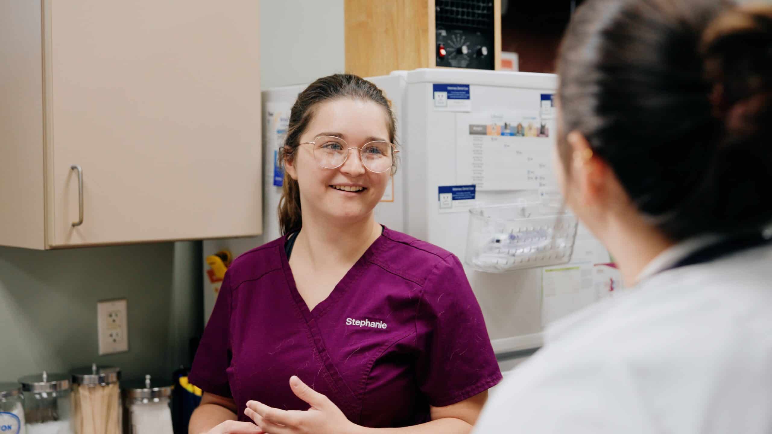 Cat and Dog Vaccinations in Mt Pleasant SC Cat and Dog Vaccinations in Mt Pleasant SC