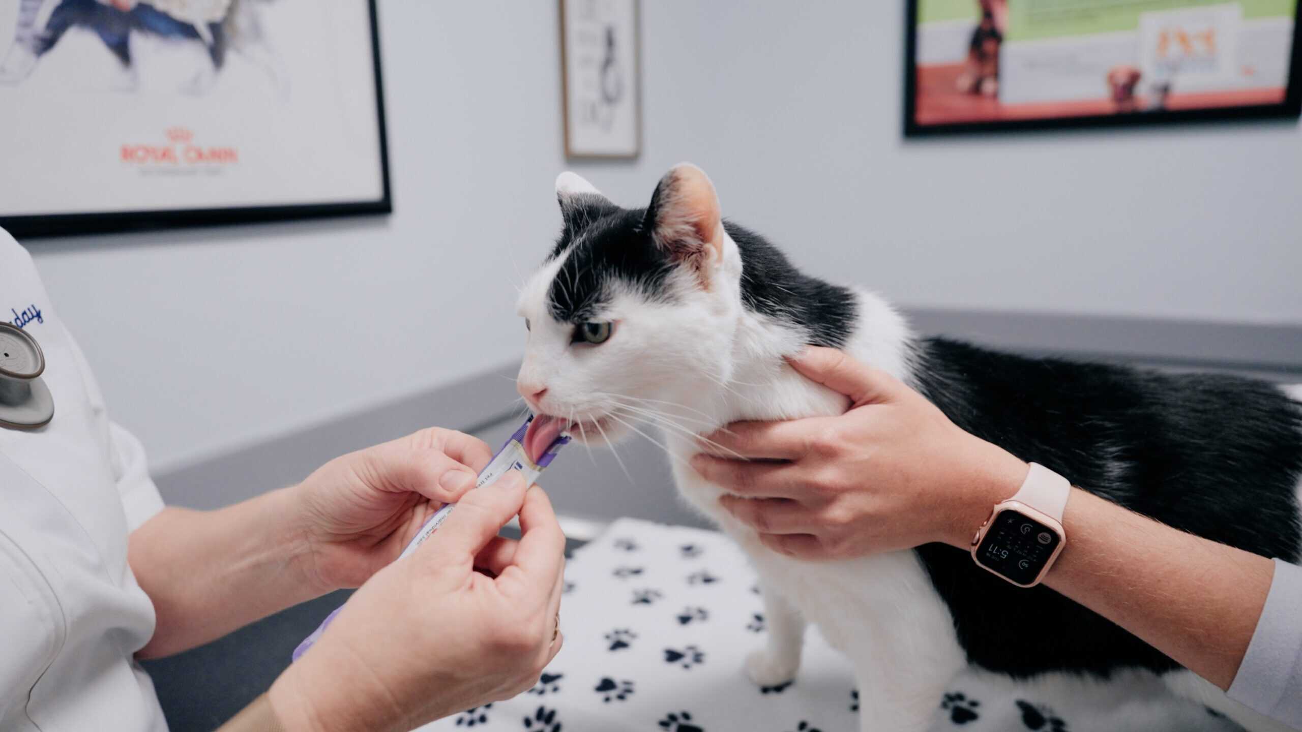 physical exams in mount pleasant sc physical exams in mount pleasant sc